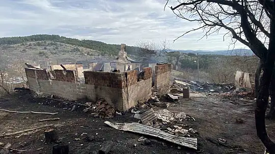 Alevlere teslim olan evde yanarak hayatını kaybetti