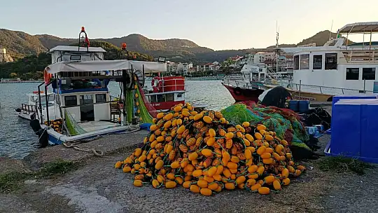Amasra'da balıkçılar 'Vira Bismillah' dedi: Yeni av sezonu başladı