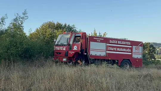 Anız yangını orman sıçradı