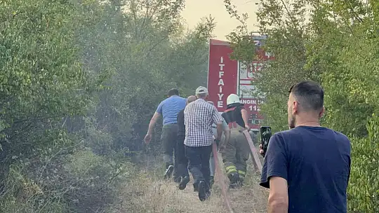 Anız yangını orman sıçradı
