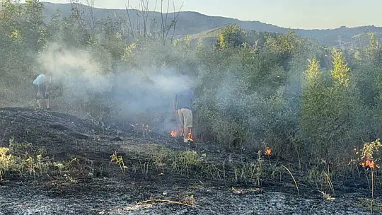 Anız yangını orman sıçradı