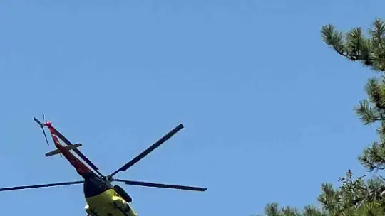 Ankara'da orman yangını çıktı