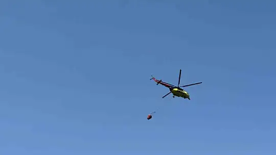 Ankara'da orman yangını çıktı