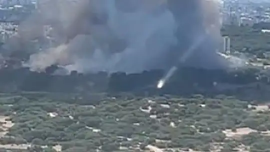 Antalya'da orman yangın