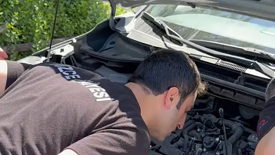 Aracın kaputunun altına giren 2 yavru kedi itfaiye ekiplerince kurtarıldı
