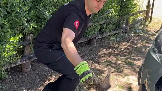 Aracın kaputunun altına giren 2 yavru kedi itfaiye ekiplerince kurtarıldı