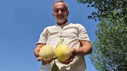 Yerli tohumla Kasım'a kadar sofralarda olacak