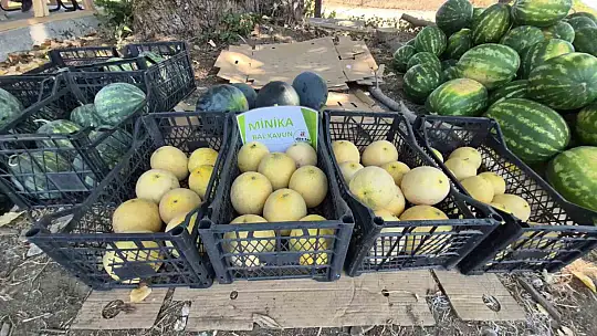 Yerli tohumla Kasım'a kadar sofralarda olacak