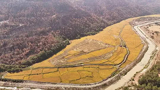 Aşırı sıcaklar