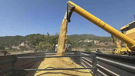 Aşırı sıcaklar