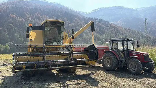 Aşırı sıcaklar