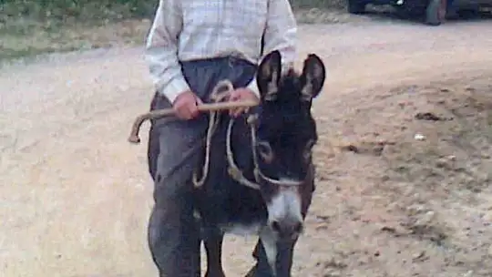 Asırlık ömür