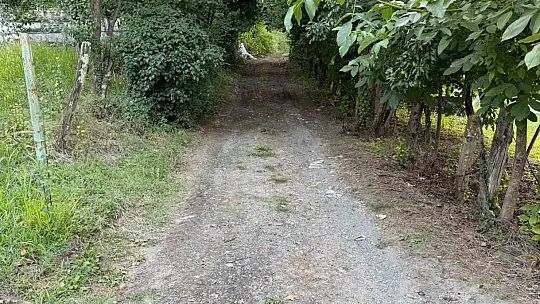 Asırlık yol 60 yıl sonra yeniden hizmete açılıyor