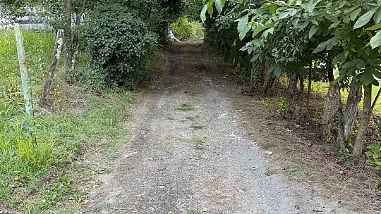 Asırlık yol 60 yıl sonra yeniden hizmete açılıyor