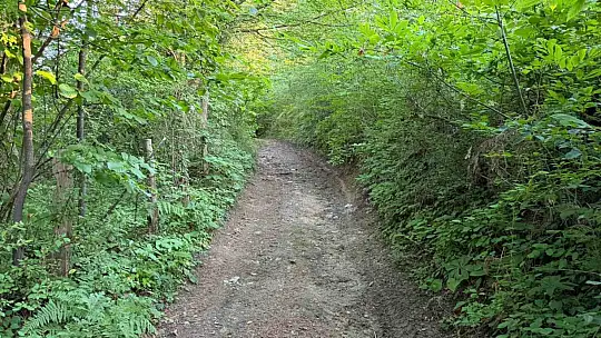 Asırlık yol 60 yıl sonra yeniden hizmete açılıyor