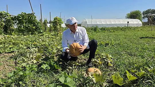 Ata tohumları akademili oldu