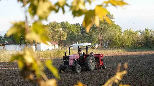Ata tohumu siyez buğdayı Düzce topraklarında yetişecek