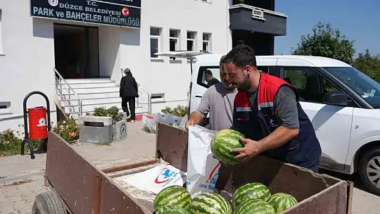 Ata tohumundan üretildi, ihtiyaç sahiplerine ulaştırıldı
