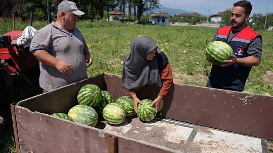 Ata tohumundan üretildi, ihtiyaç sahiplerine ulaştırıldı