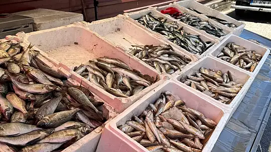 Av sezonu sona ermesine rağmen Zonguldak'ta tezgahlar şenlendi