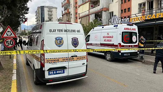 Aydın'da silahlı saldırı: 2 ölü