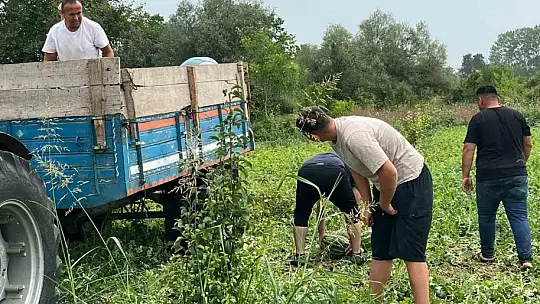 Baba mesleğini bıraktı, 25 yıldır toprağa emek veriyor