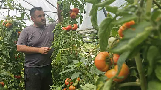 Baba mesleğini bıraktı, 25 yıldır toprağa emek veriyor