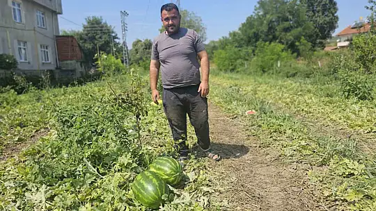 Baba mesleğini bıraktı, 25 yıldır toprağa emek veriyor
