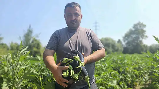 Baba mesleğini bıraktı, 25 yıldır toprağa emek veriyor
