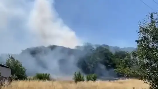 Bahçede çıkan yangın ormana sıçradı