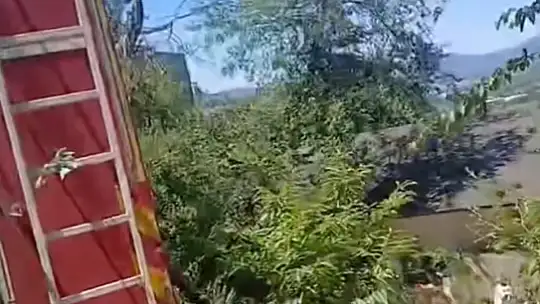 Bahçede çıkan yangın ormana sıçradı