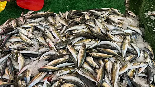 Balık sezonu bitmesine rağmen tezgahlarda hareketlilik sürüyor