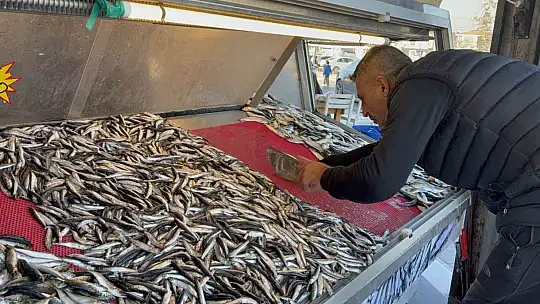 Balık tezgahları şenlendi