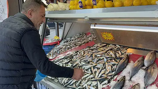 Balık tezgahları şenlendi
