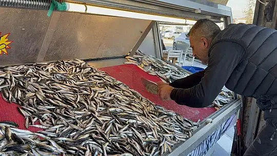 Balık tezgahları şenlendi