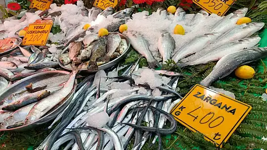 Balıkçılar palamut için 'kestane karası'nı bekliyor