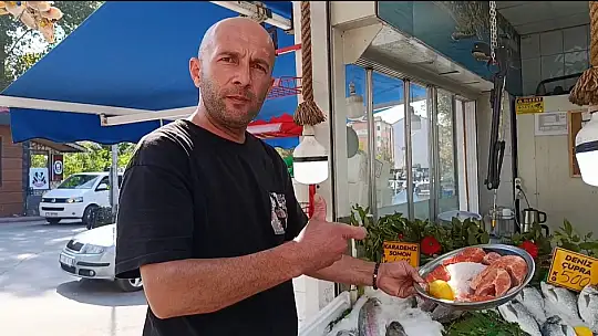 Balıkçılar palamut için 'kestane karası'nı bekliyor