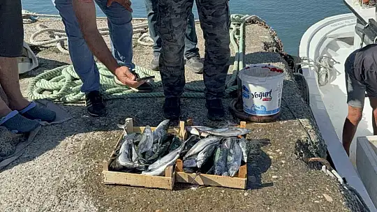 Balıkçılar sezonun ilk gününde 50 ton palamutla limana döndü
