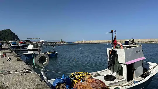 Balıkçılar sezonun ilk gününde 50 ton palamutla limana döndü