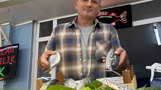 Balıkçıların yüzünü palamut bolluğu güldürdü