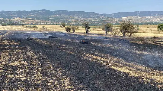 40 dönüm tarım arazisi kule döndü