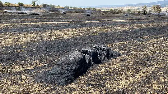 40 dönüm tarım arazisi kule döndü
