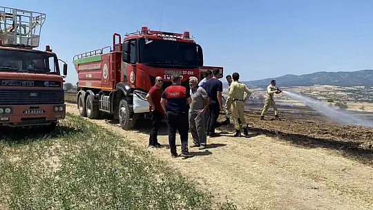 40 dönüm tarım arazisi kule döndü