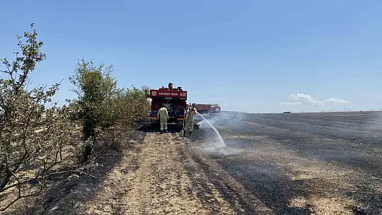 40 dönüm tarım arazisi kule döndü