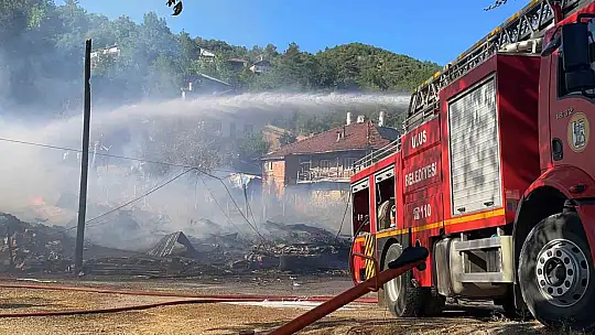 Bartın'da 2 saatte 8 yangın
