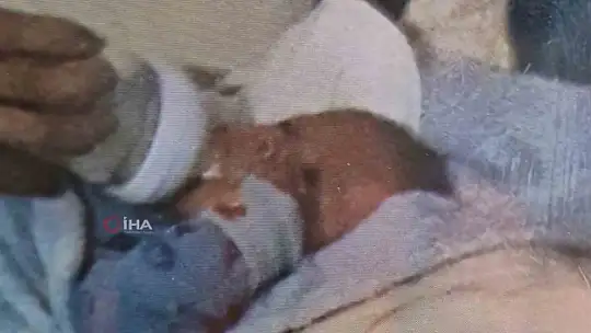 Böyle acıya yürek dayanmaz