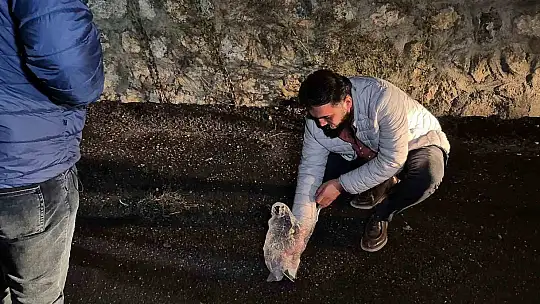 Bartın'da arkadaşların kanlı hesaplaşması: 1 yaralı