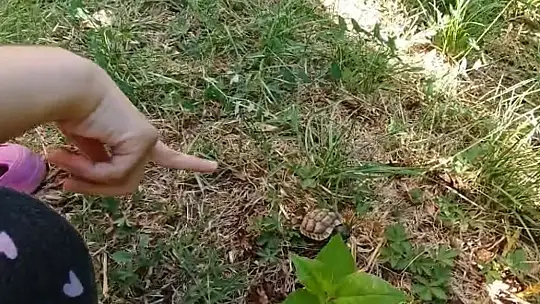 Asma tavandan gelen ses korkusu sürpriz sonla bitti