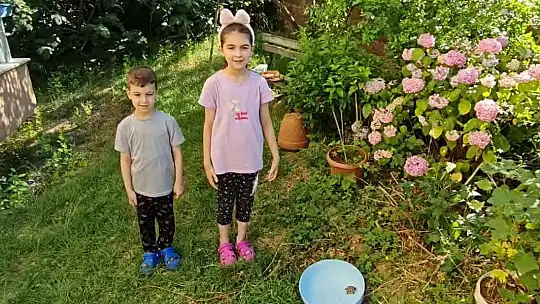 Asma tavandan gelen ses korkusu sürpriz sonla bitti