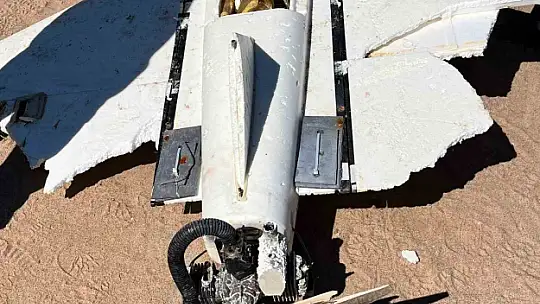 Sahile vurmuştu